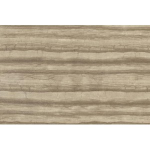 Gạch lát sàn Trường Thịnh STONE AGE Y990821P